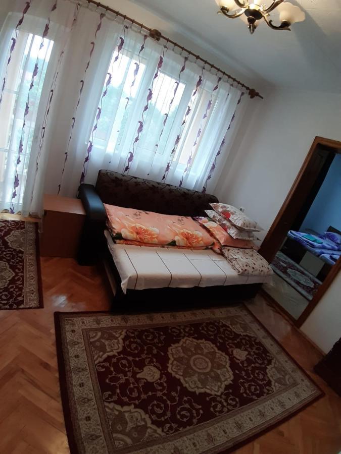 Pensiunea Covaciu Vadu Izei Exterior foto