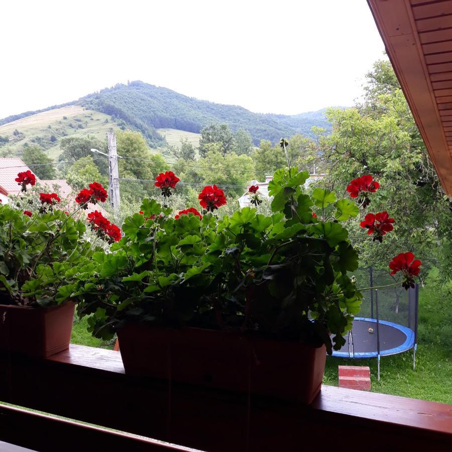 Pensiunea Covaciu Vadu Izei Exterior foto