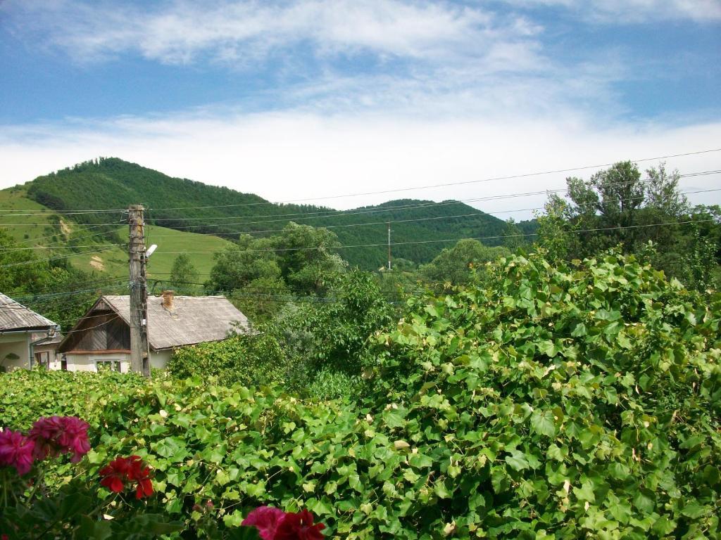 Pensiunea Covaciu Vadu Izei Exterior foto