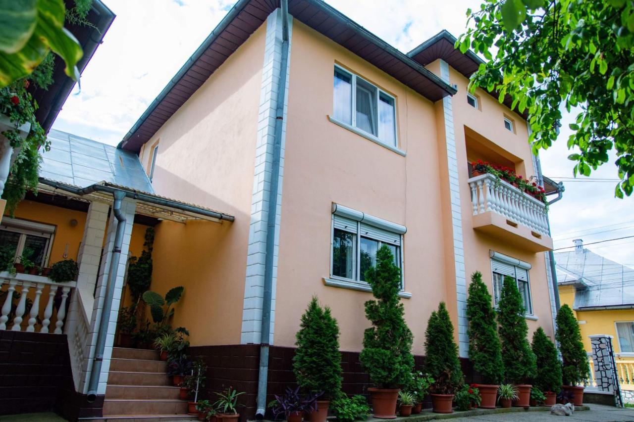 Pensiunea Covaciu Vadu Izei Exterior foto