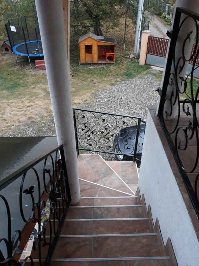 Pensiunea Covaciu Vadu Izei Exterior foto